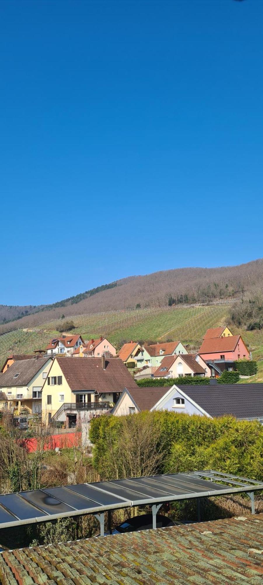 Gite Et Chambres D'Hotes Les Framboises Katzenthal Værelse billede