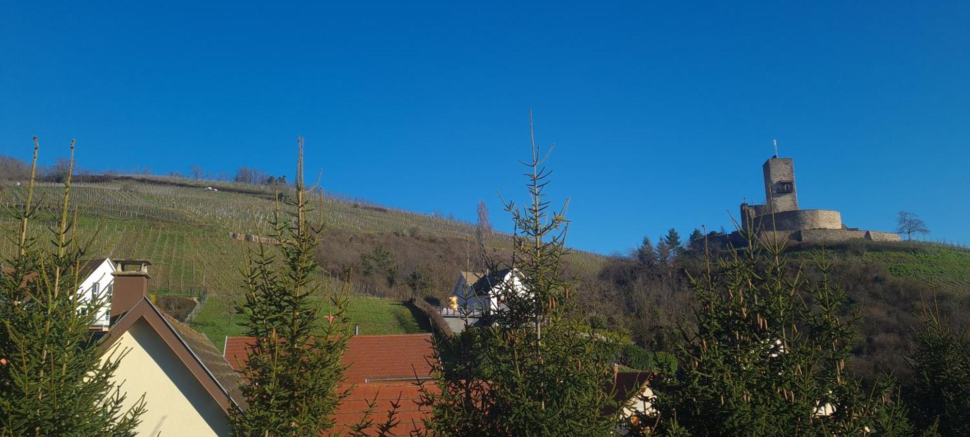 Gite Et Chambres D'Hotes Les Framboises Katzenthal Eksteriør billede